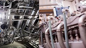 MS Office & Adobe Training Center in Noida